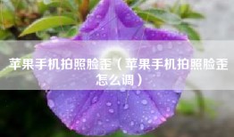 苹果手机拍照脸歪（苹果手机拍照脸歪怎么调）