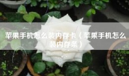 苹果手机怎么装内存卡（苹果手机怎么装内存条）