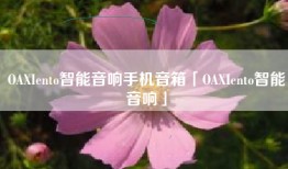 OAXIento智能音响手机音箱「OAXIento智能音响」