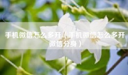 手机微信怎么多开（手机微信怎么多开微信分身）