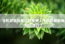 手机数据恢复软件推荐（手机数据恢复软件排行）