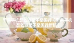 苹果手机怎么查是不是国行（苹果手机怎么查是不是国行新机）