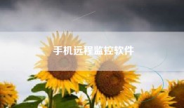 手机远程监控软件