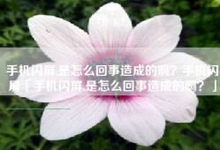 手机闪屏,是怎么回事造成的啊？手机闪屏「手机闪屏,是怎么回事造成的啊？」