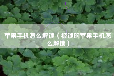 苹果手机怎么解锁（被锁的苹果手机怎么解锁）