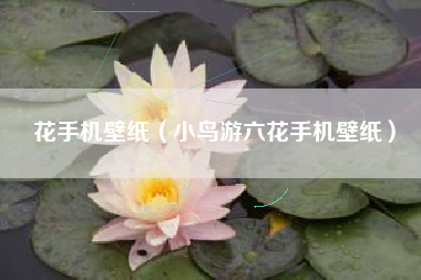 花手机壁纸（小鸟游六花手机壁纸）