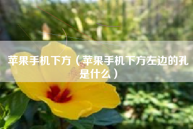 苹果手机下方（苹果手机下方左边的孔是什么）