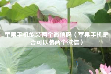 苹果手机能装两个微信吗（苹果手机是否可以装两个微信）