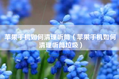 苹果手机如何清理听筒（苹果手机如何清理听筒垃圾）