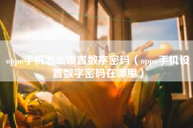 oppo手机怎么设置数字密码（oppo手机设置数字密码在哪里）